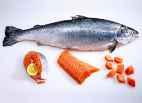 Asesoría a Australis Seafoods en la adquisición de Pesquera Torres del Paine