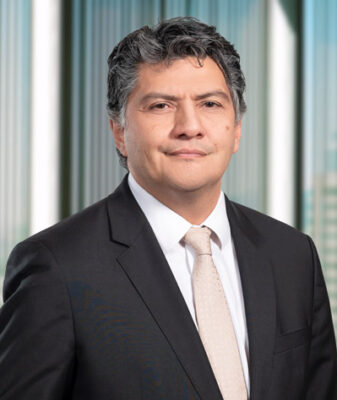 Díaz Velásquez, Javier