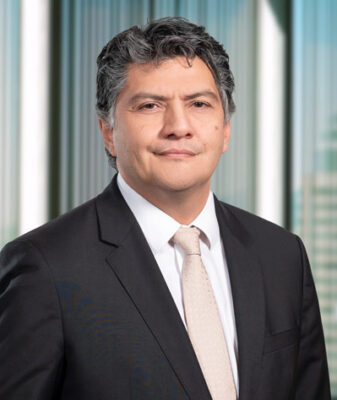 Díaz Velásquez, Javier
