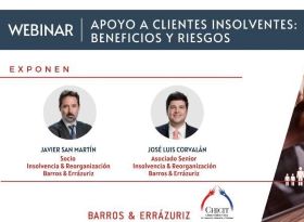 Webinar: Apoyo a clientes insolventes