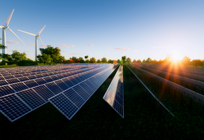 Paneles solares