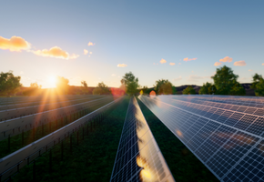 Paneles solares