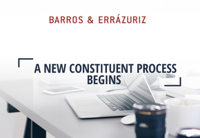 Constitutional Bulletin: A new Constituent Process begins | Issue N° 40