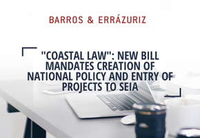 “Coastal Law”: new bill mandates creation of national policy and entry of projects to SEIA