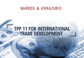 TPP 11 for the development of international trade