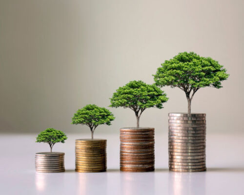 Promulgación de Ley que sistematiza los Delitos Económicos y atentados contra el medioambiente