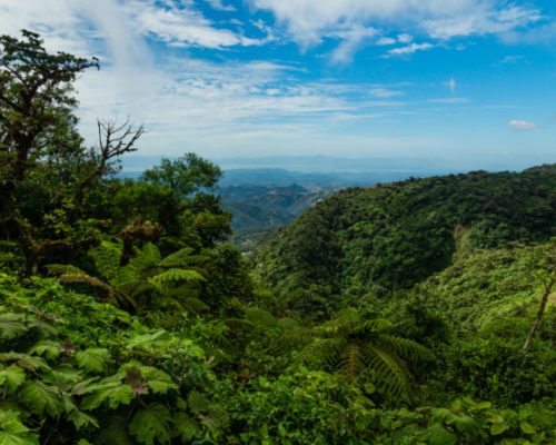 Publicación de la Ley que crea el Servicio de Biodiversidad y Áreas Protegidas y el Sistema Nacional de Áreas Protegidas