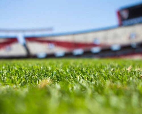 Asesoría a Corporación Club Deportivo Universidad de Concepción