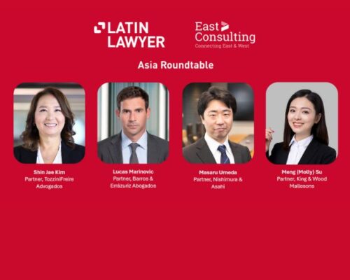 Lucas Marinovic participó en una mesa redonda sobre las relaciones de comercio e inversión entre Asia y América Latina