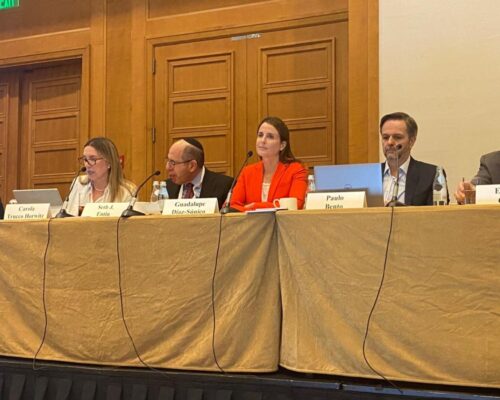 17th IBA/ABA Annual US and Latin America Tax Practice Trends Conference