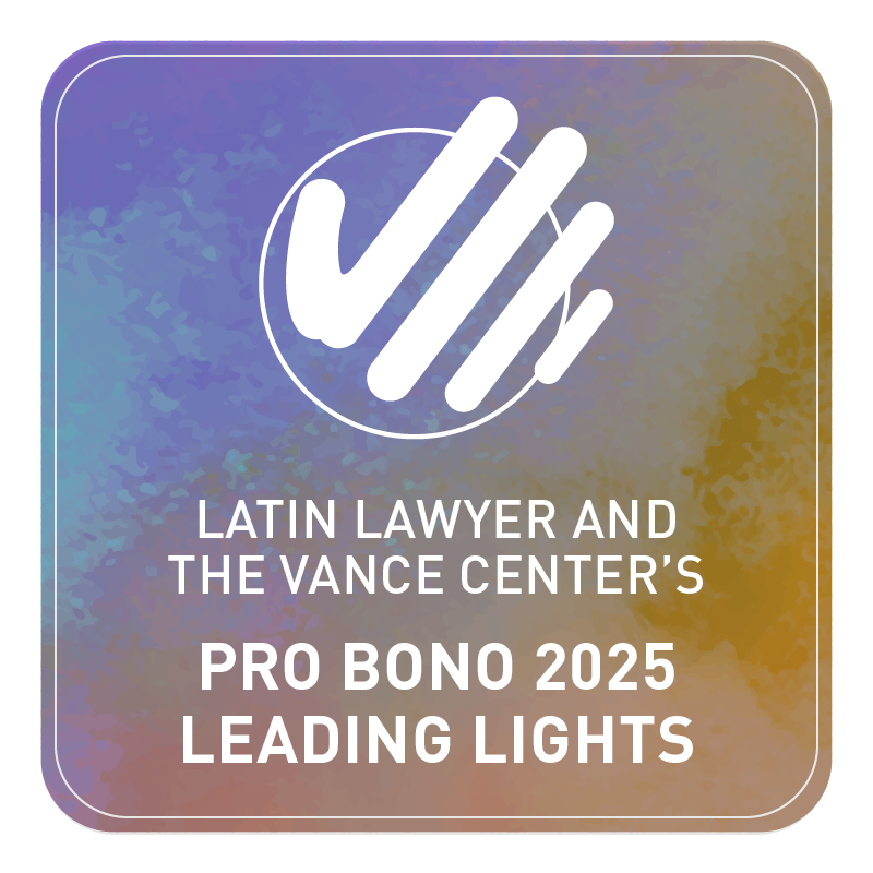 Pro Bono 2025 Leading Lights
